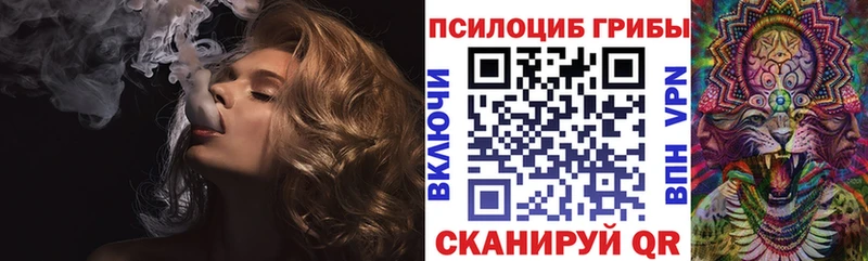 дарнет шоп Рубцовск ссылка на мегу рабочий сайт Галлюциногенные грибы мухоморы